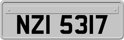 NZI5317