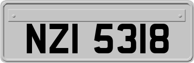 NZI5318