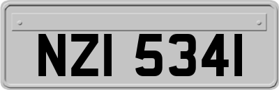 NZI5341