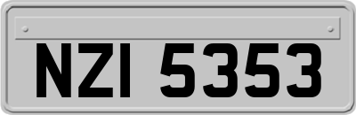 NZI5353