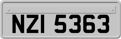NZI5363