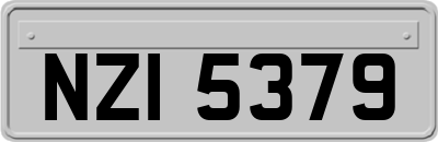 NZI5379