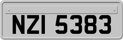 NZI5383