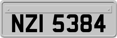 NZI5384