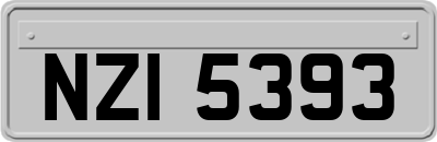 NZI5393