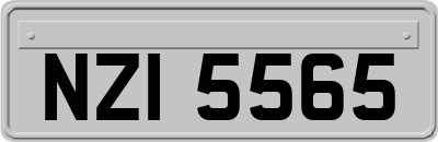 NZI5565