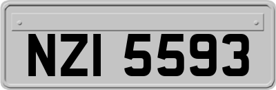 NZI5593