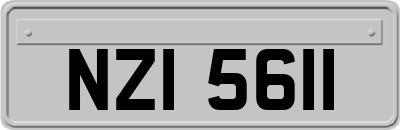NZI5611