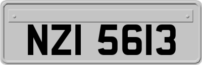 NZI5613