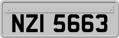 NZI5663