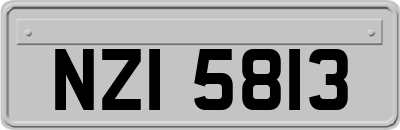 NZI5813