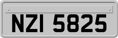 NZI5825