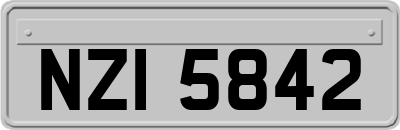 NZI5842