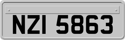NZI5863