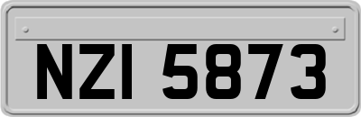 NZI5873