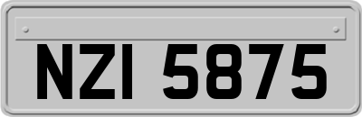 NZI5875