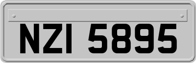 NZI5895