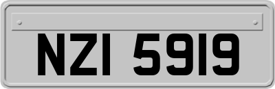 NZI5919