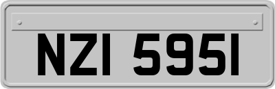 NZI5951