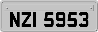 NZI5953
