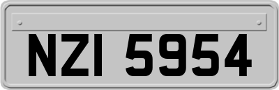 NZI5954