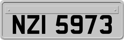 NZI5973