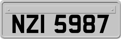 NZI5987
