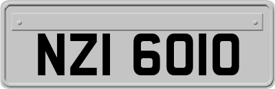 NZI6010