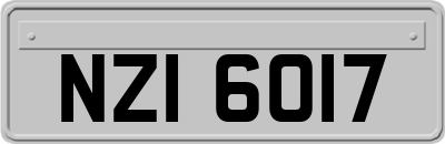 NZI6017