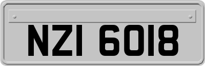 NZI6018
