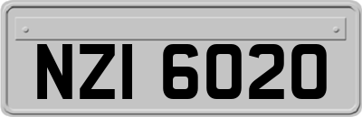 NZI6020