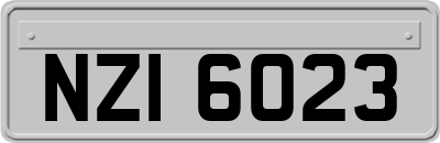 NZI6023