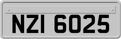 NZI6025