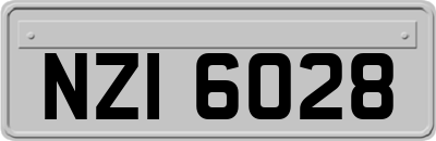 NZI6028
