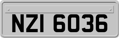 NZI6036