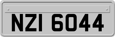 NZI6044