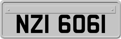 NZI6061