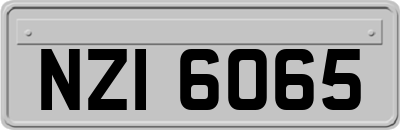 NZI6065