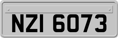 NZI6073