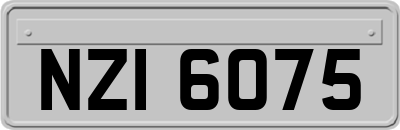 NZI6075