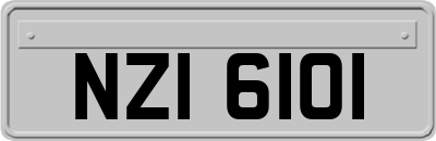 NZI6101