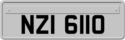 NZI6110