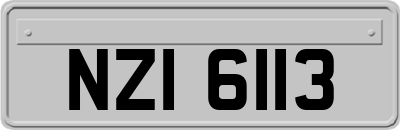 NZI6113