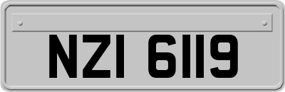 NZI6119