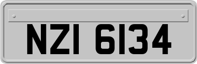 NZI6134