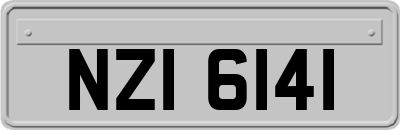 NZI6141