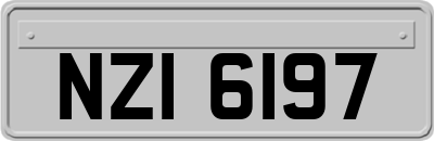 NZI6197