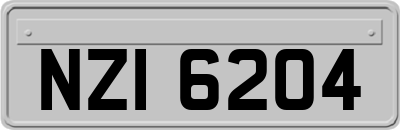 NZI6204