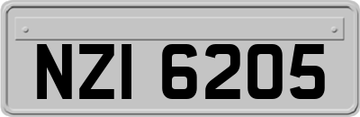 NZI6205
