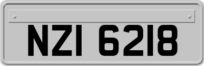NZI6218